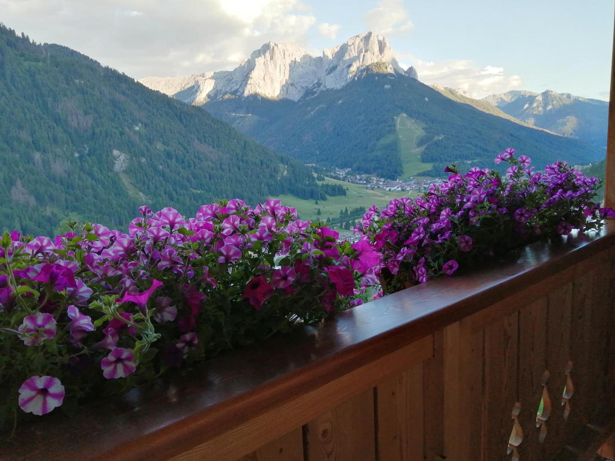 Villetta Muncion Pozza di Fassa Exterior photo